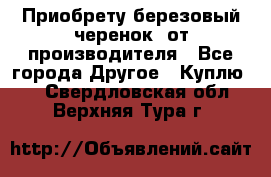 Приобрету березовый черенок  от производителя - Все города Другое » Куплю   . Свердловская обл.,Верхняя Тура г.